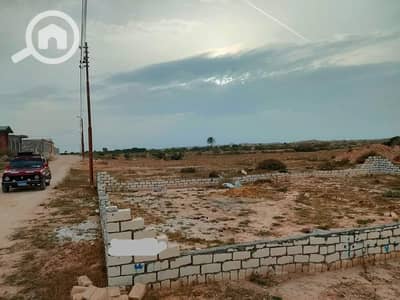 Residential Land for Sale in Marsa Matrouh, Matruh - قطعه ارض للبيع 200م علي شارع رئيسي مباشرة استلام فوري عالم الروم مرسي