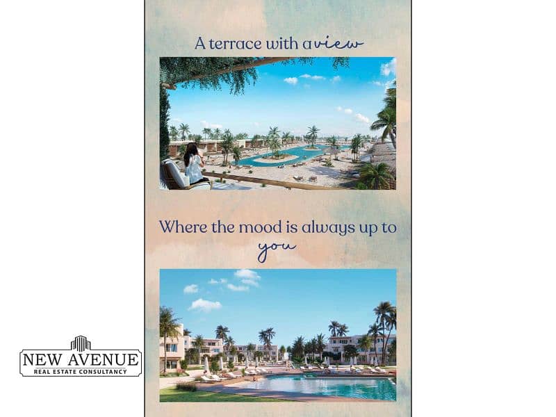 WhatsApp Image 2025-01-27 at 4.49. 25 PM (1). jpg WhatsApp Image 2025-01-27 at 4.49. 25 PM (1). jpg