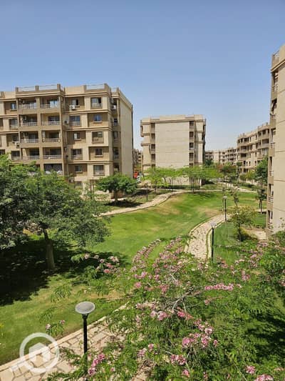 3 Bedroom Apartment for Sale in Madinaty, Cairo - IMG-20250110-WA0032. jpg