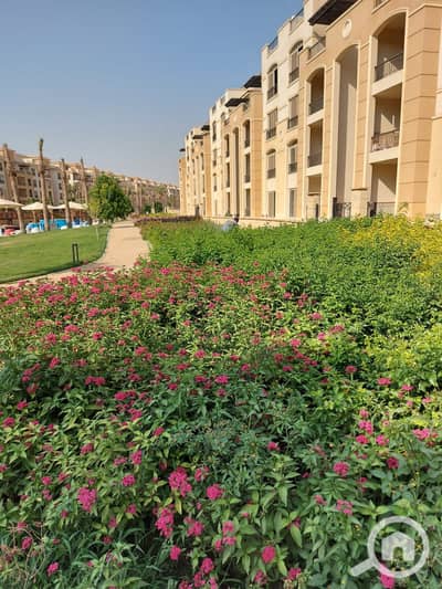 4 Bedroom Apartment for Sale in New Cairo, Cairo - 0d9d7a5cd-acea-4cc6-aa20-bd9b31d471d1. jpg