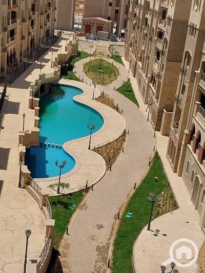 3 Bedroom Flat for Sale in New Cairo, Cairo - IMG-20250119-WA0125. jpg