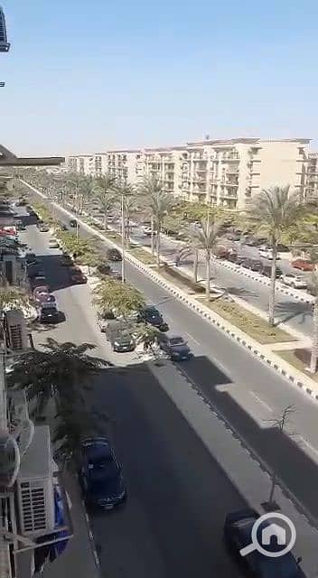 3 Bedroom Apartment for Sale in New Cairo, Cairo - VideoCapture_٢٠٢٥٠٢٠٣-١٧٠٦٥٧. jpg