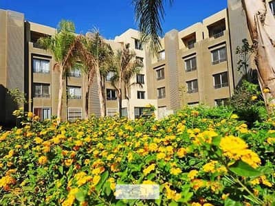 1 Bedroom Flat for Sale in 6th of October, Giza - Apartment with garden for sale in Palm Parks, with installments over 8 years