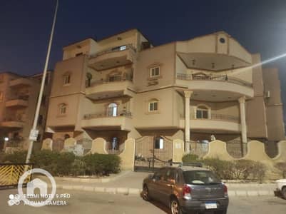 3 Bedroom Apartment for Rent in New Cairo, Cairo - IMG-20250201-WA0280. jpg