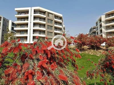 3 Bedroom Flat for Sale in New Cairo, Cairo - 473216371_1133469338178259_4256600583278713065_n. jpg