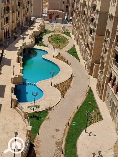 3 Bedroom Flat for Sale in New Cairo, Cairo - IMG-20250119-WA0125. jpg