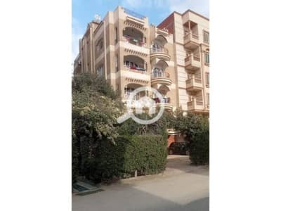 11 Bedroom Other Residential for Sale in 6th of October, Giza - WhatsApp Image 2025-02-06 at 16.42. 22_287004c9 (1). jpg