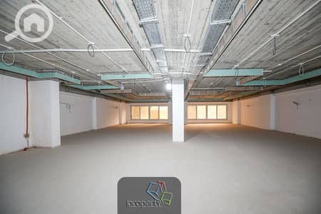 Office for Rent in Smoha, Alexandria - Office for Rent in Smouha - Private Entrance