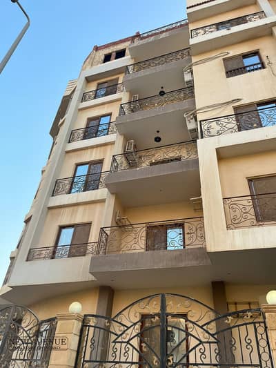 2 Bedroom Flat for Sale in New Cairo, Cairo - WhatsApp Image 2025-02-06 at 2.56. 15 PM. jpeg