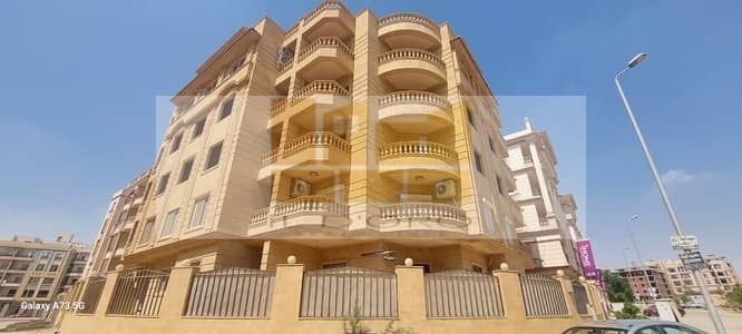 3 Bedroom Apartment for Sale in New Cairo, Cairo - WhatsApp Image 2025-02-12 at 12.00. 33_bb2cf407. jpg