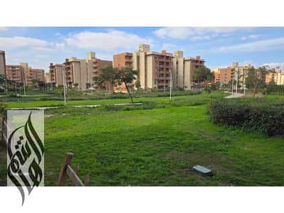 3 Bedroom Apartment for Rent in Shorouk City, Cairo - WhatsApp Image 2025-02-11 at 1.21. 10 PM (1). jpg