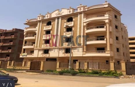 3 Bedroom Flat for Sale in New Cairo, Cairo - WhatsApp Image 2025-02-12 at 5.06. 59 PM (2). jpeg