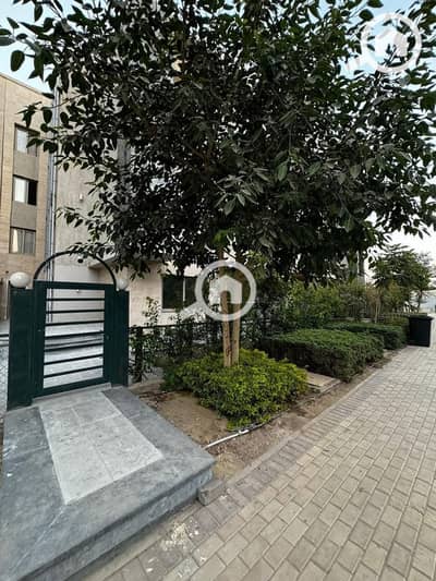 3 Bedroom Flat for Sale in New Cairo, Cairo - WhatsApp Image 2025-01-07 at 4.02. 23 AM. jpeg