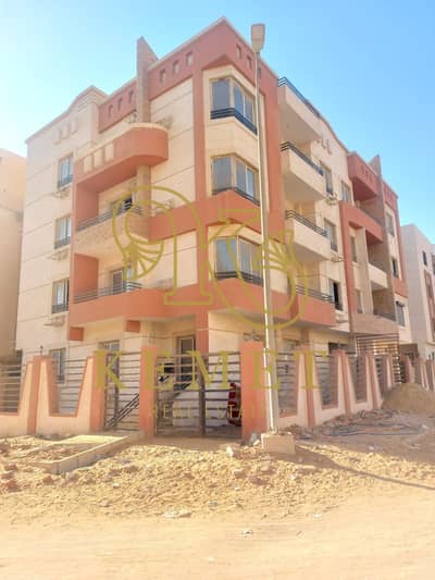 3 Bedroom Apartment for Sale in New Cairo, Cairo - WhatsApp Image 2025-02-13 at 17.12. 43_67611dcb. jpg