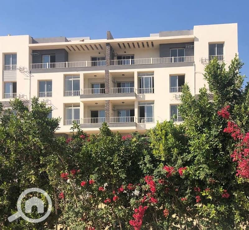 3 65cf359e-5da4-4a49-9472-b0c5ca021c61 - Copy. jpg