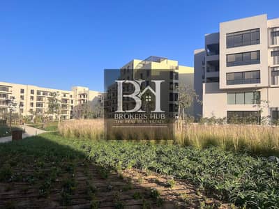 4 Bedroom Penthouse for Sale in 6th of October, Giza - 2024-07-22. jpg