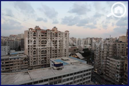 3 Bedroom Flat for Sale in Smoha, Alexandria - 1. JPG