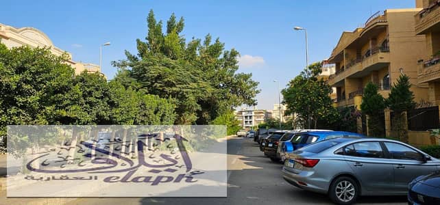 3 Bedroom Flat for Sale in New Cairo, Cairo - WhatsApp Image 2025-02-17 at 16.29. 16_78c03b72. jpg