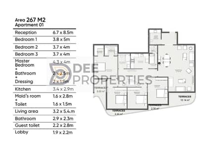 5 Bedroom Flat for Sale in Smoha, Alexandria - WhatsApp Image 2025-02-18 at 5.08. 40 PM. jpeg