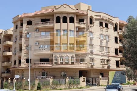 3 Bedroom Flat for Sale in New Cairo, Cairo - WhatsApp Image 2025-02-19 at 12.23. 25 PM. jpeg