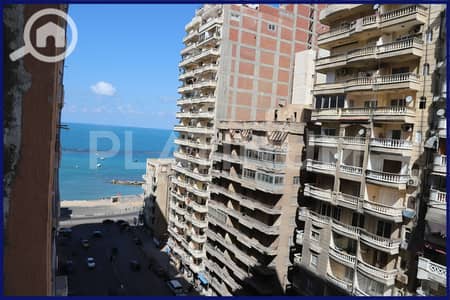 2 Bedroom Apartment for Sale in Miami, Alexandria - WhatsApp Image 2025-02-20 at 1.23. 36 PM. jpeg