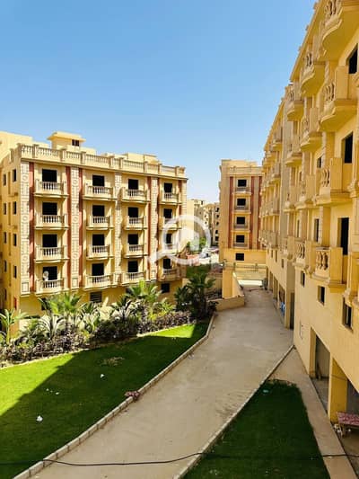 3 Bedroom Apartment for Sale in New Cairo, Cairo - IMG-20241121-WA0226. jpg