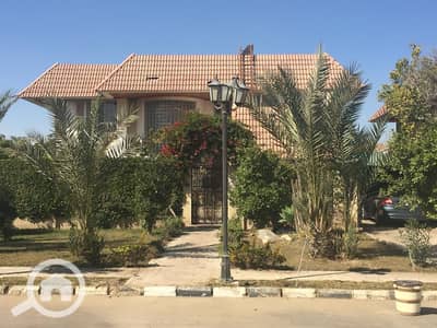 4 Bedroom Villa for Sale in Sheikh Zayed, Giza - WhatsApp Image 2025-02-08 at 1.49. 12 PM. jpeg