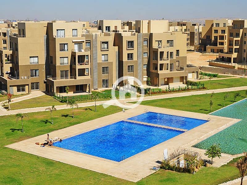 3 palm-parks-october-بالم-باركس-اكتوبر-20_800x600. jpg