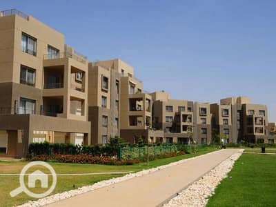 3 Bedroom Flat for Sale in 6th of October, Giza - e0750e06-a1ee-4e7e-a7ef-c26d96bc3b12_800x600. jpg