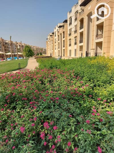 3 Bedroom Apartment for Sale in New Cairo, Cairo - 0d9d7a5cd-acea-4cc6-aa20-bd9b31d471d1. jpg