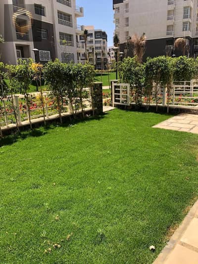 3 Bedroom Flat for Sale in Madinaty, Cairo - WhatsApp Image 2025-01-29 at 6.16. 32 AM. jpeg