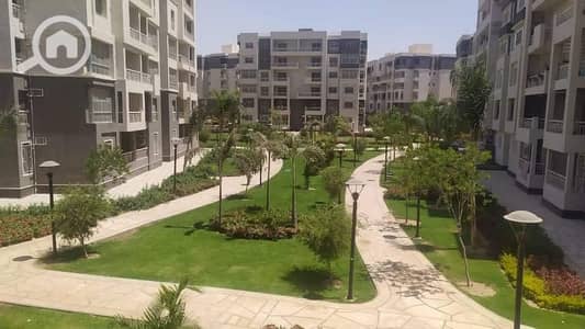 3 Bedroom Apartment for Sale in Madinaty, Cairo - WhatsApp Image 2024-09-17 at 1.08. 19 PM. jpeg