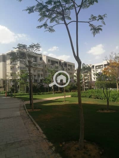 3 Bedroom Flat for Sale in Madinaty, Cairo - WhatsApp Image 2024-09-16 at 5.05. 10 PM (1). jpeg