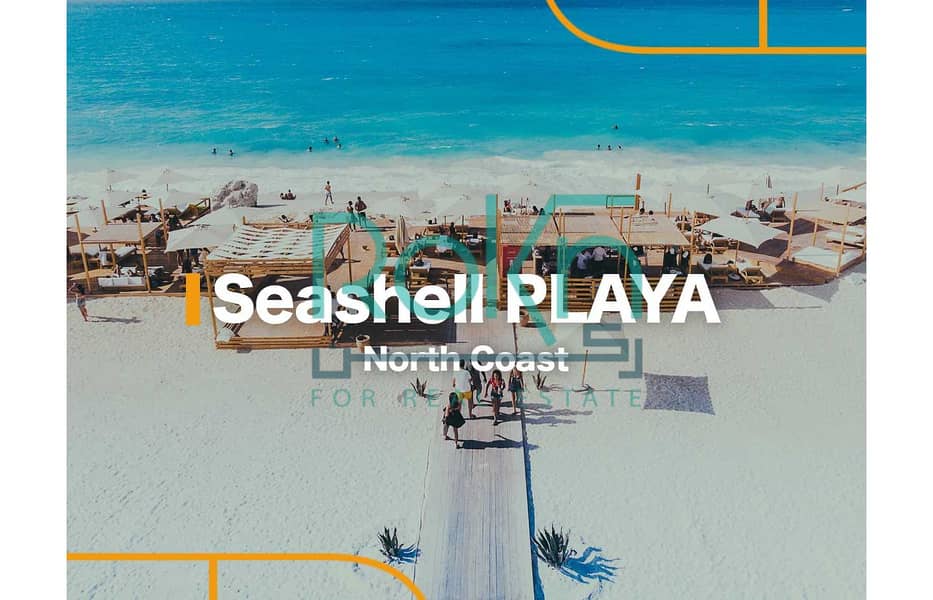 Seashell-Playa. jpg