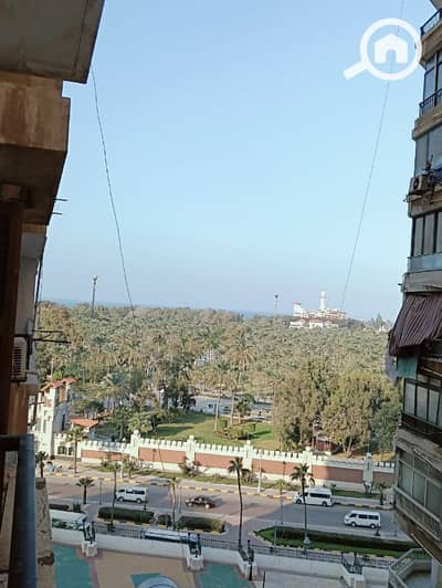 3 Bedroom Apartment for Sale in Mandara, Alexandria - Super Lux apartment in a prime location