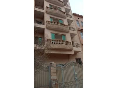 11 Bedroom Other Residential for Sale in 6th of October, Giza - WhatsApp Image 2025-02-26 at 15.34. 51_e6a5c8b9. jpg