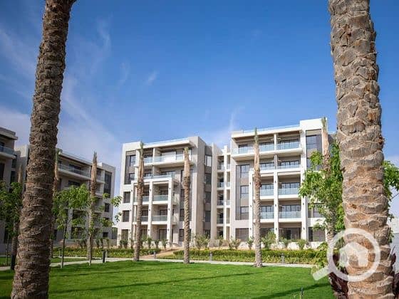 4 thimg_Dorra-Developments-Projects-Address-East-Gallery-Images-12_800x600_autox420. jpg