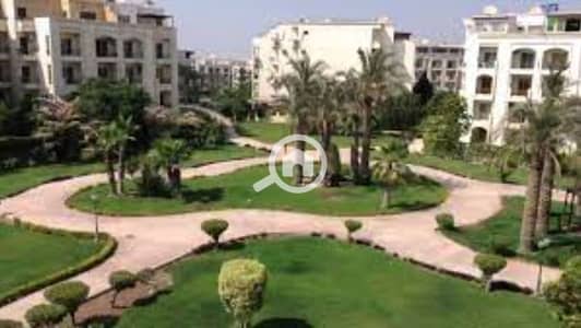 3 Bedroom Townhouse for Sale in Sheikh Zayed, Giza - WhatsApp Image 2025-02-20 at 3.08. 19 PM (2). jpeg