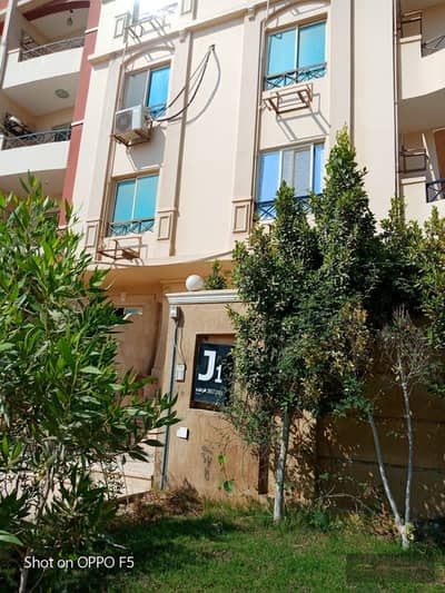 3 Bedroom Flat for Sale in Sheikh Zayed, Giza - WhatsApp Image 2025-03-03 at 17.54. 45_cf7af0aa. jpg