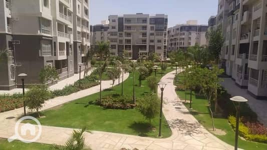 3 Bedroom Flat for Sale in Madinaty, Cairo - WhatsApp Image 2024-09-17 at 1.08. 19 PM. jpeg