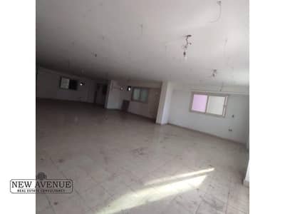 Factory for Rent in New Cairo, Cairo - WhatsApp Image 2025-02-23 at 4.49. 19 PM. jpg