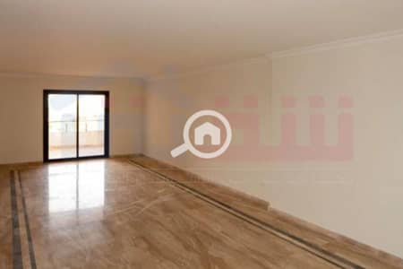 4 Bedroom Flat for Sale in Smoha, Alexandria - WhatsApp Image 2025-02-27 at 11.05. 20 AM. jpg