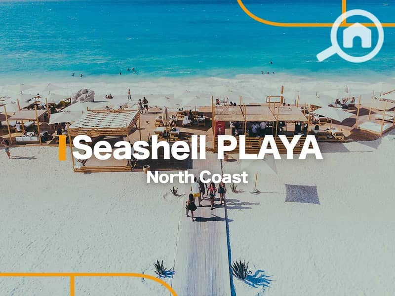 5 sea-shell-playa-north-coast. jpg