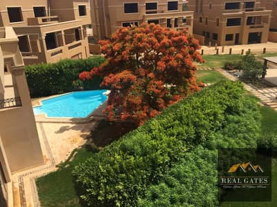 2 Bedroom Flat for Sale in New Cairo, Cairo - WhatsApp Image 2025-02-08 at 1.13. 51 PM. jpeg