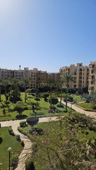 2 Bedroom Apartment for Sale in New Cairo, Cairo - WhatsApp Image 2025-03-13 at 3.37. 31 PM. jpeg