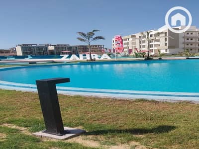 1 Bedroom Chalet for Sale in North Coast, Matruh - WhatsApp Image 2024-08-29 at 1.50. 28 PM (1)_800x600 - Copy. jpg