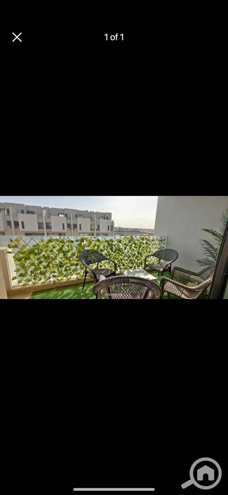 5 IMG_4169. png