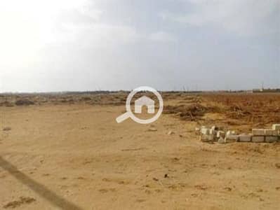 Commercial Land for Sale in 10th of Ramadan, Sharqia - ارض2. jpg