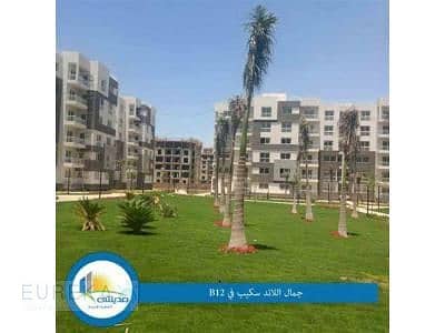 6 OIP (2) - Copy. jpg