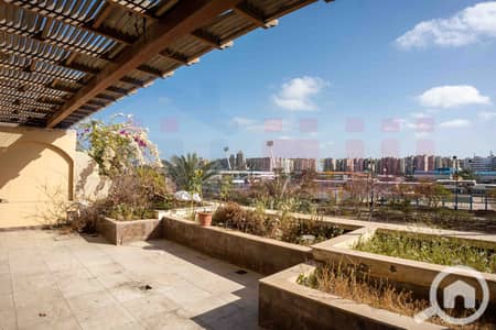 Office for Sale in Smoha, Alexandria - DSC09744. jpg